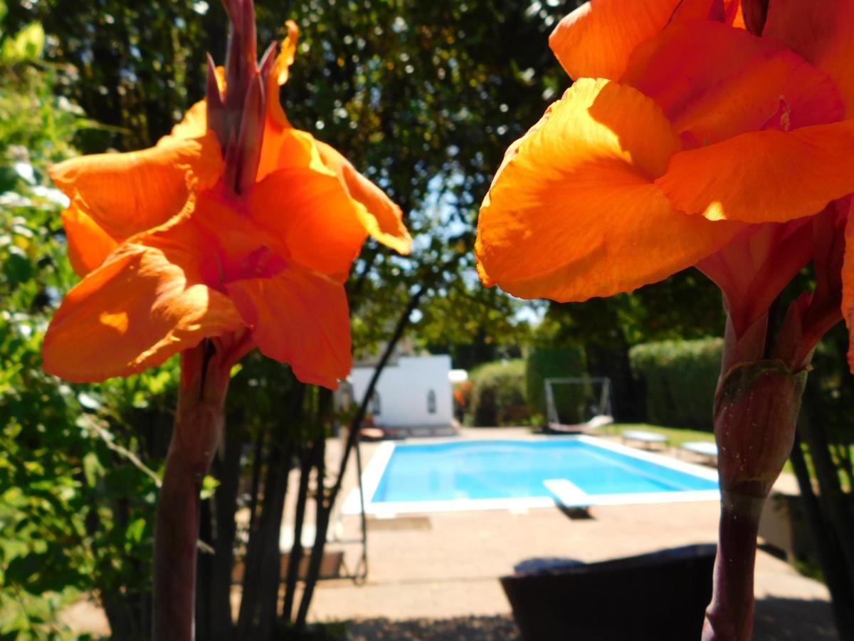 Appartamento Con Piscina Immersa Nel Verde Cascina Buitenkant foto