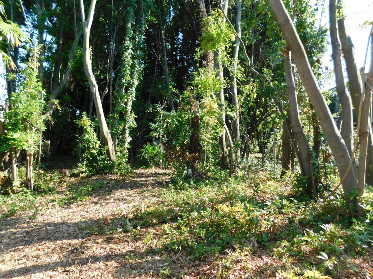 Appartamento Con Piscina Immersa Nel Verde Cascina Buitenkant foto