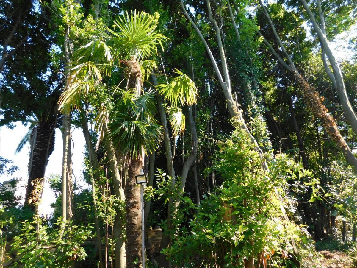 Appartamento Con Piscina Immersa Nel Verde Cascina Buitenkant foto