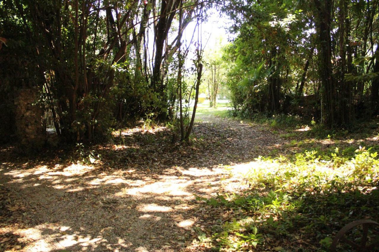 Appartamento Con Piscina Immersa Nel Verde Cascina Buitenkant foto